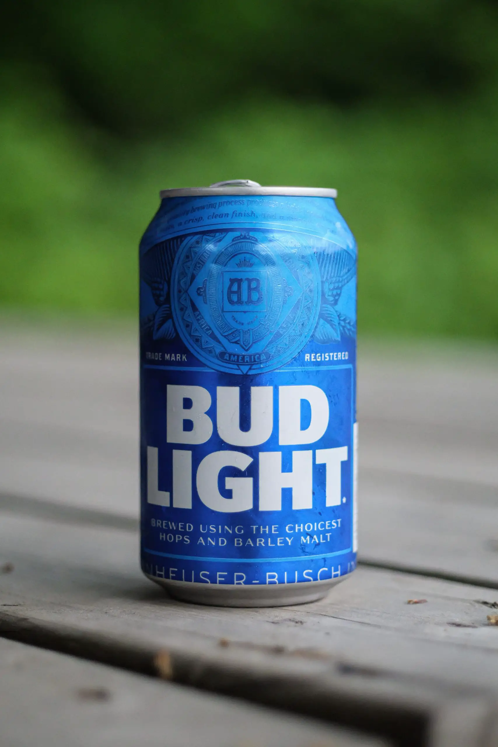 Picture of a can of Bud Light