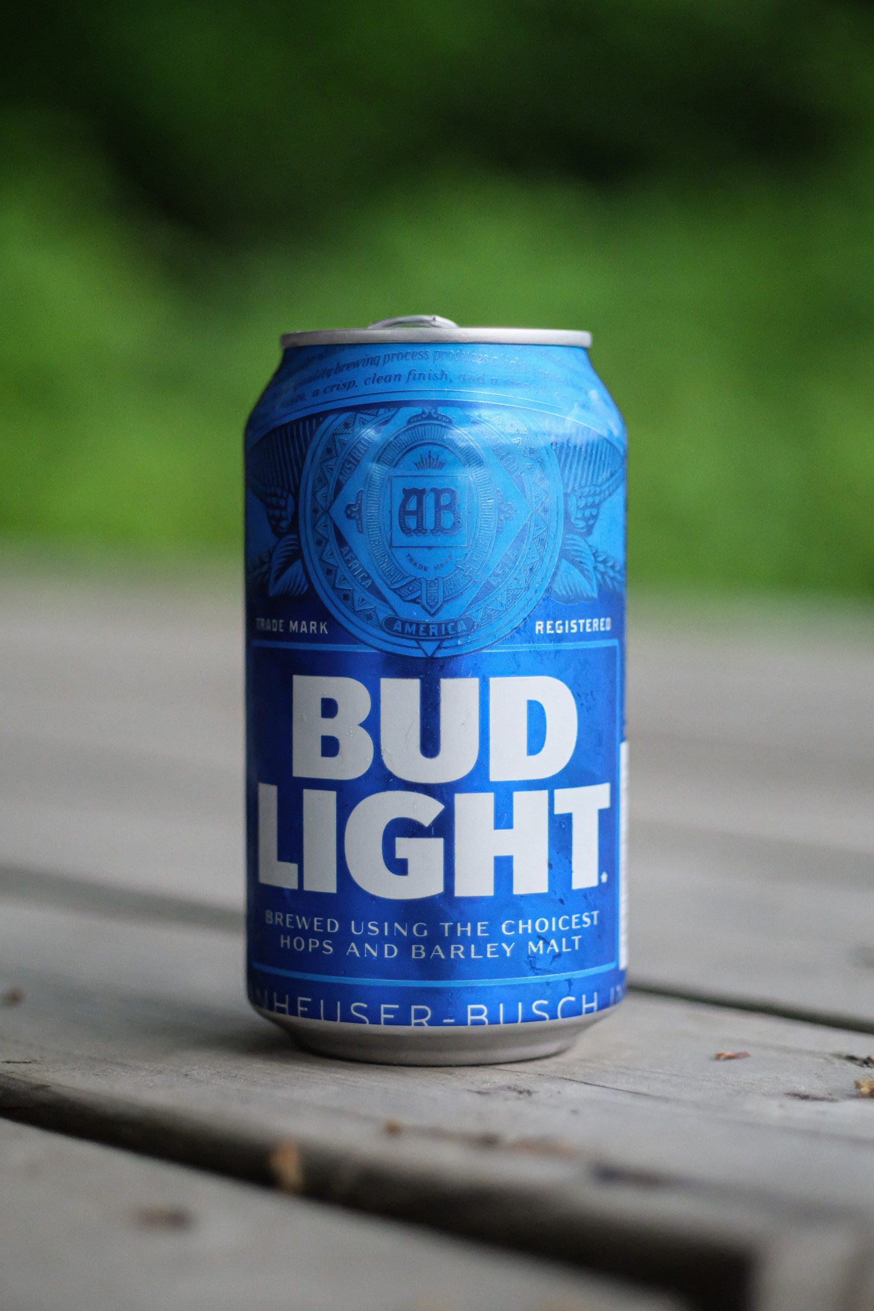 Picture of a can of Bud Light